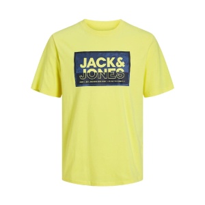 Jack & Jones 12253442 Jcologan Tişört SS Crew Neck SS24 Ln Sarı 