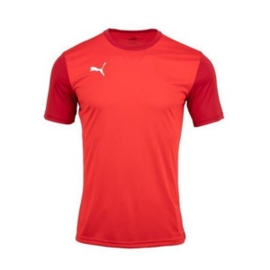 Puma 656484-04 Teamgoal 23 Sideline Tee Kırmızı 