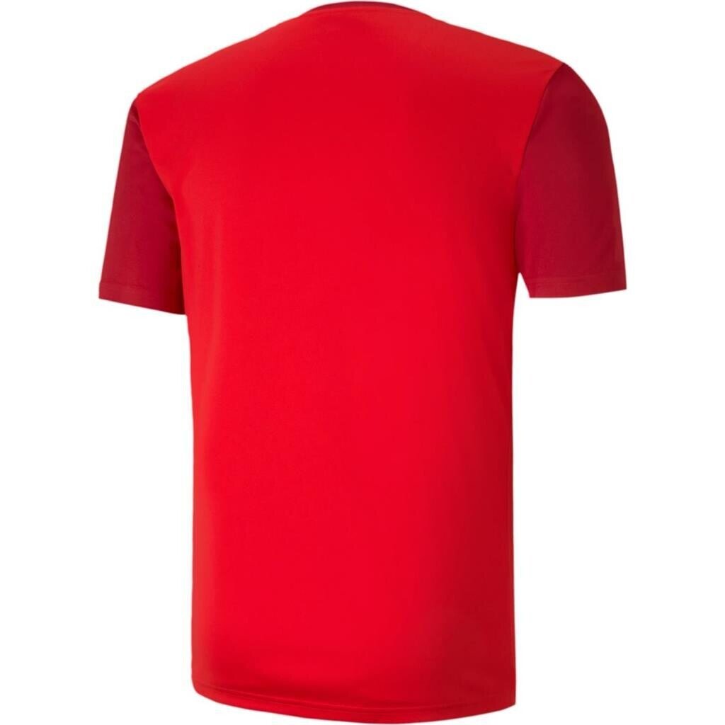 Puma 656484-04 Teamgoal 23 Sideline Tee Kırmızı - 2