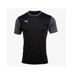 Puma 656484-04 Teamgoal 23 Sideline Tee Siyah 