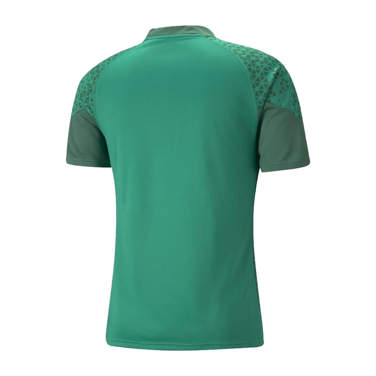 Puma 657984 Teamcup Training Jersey Yeşil - 2