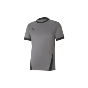 Puma 704171 Teamgoal 23 Jersey Gri 