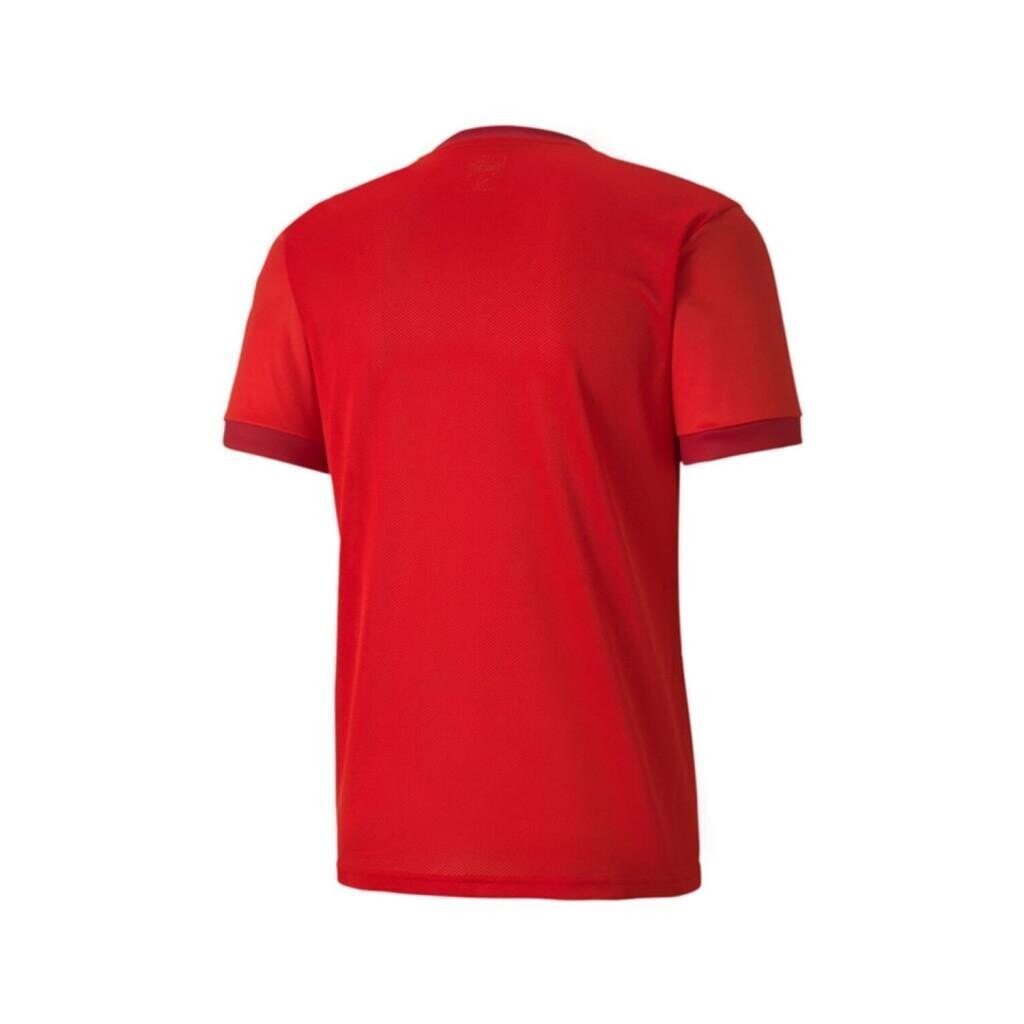 Puma 704171 Teamgoal 23 Jersey Kırmızı - 2