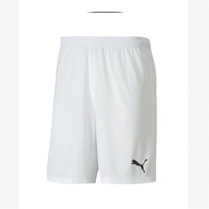 Puma 704262 Teamgoal 23 Knit Shorts Beyaz 