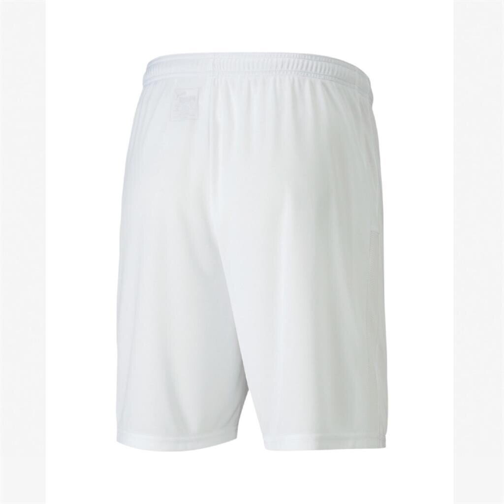 Puma 704262 Teamgoal 23 Knit Shorts Beyaz - 2