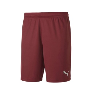 Puma 704262 Teamgoal 23 Knit Shorts Bordo 