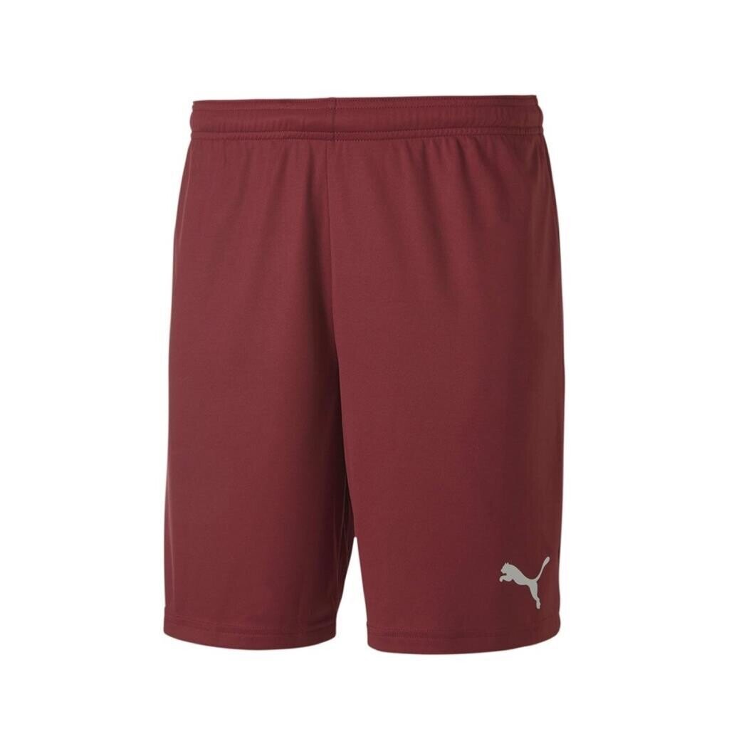 Puma 704262 Teamgoal 23 Knit Shorts Bordo - 1