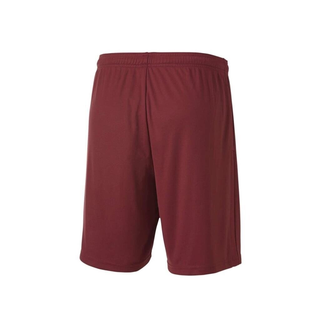 Puma 704262 Teamgoal 23 Knit Shorts Bordo - 2