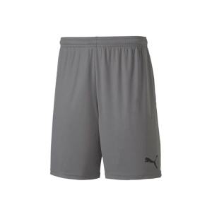 Puma 704262 Teamgoal 23 Knit Shorts Gri 