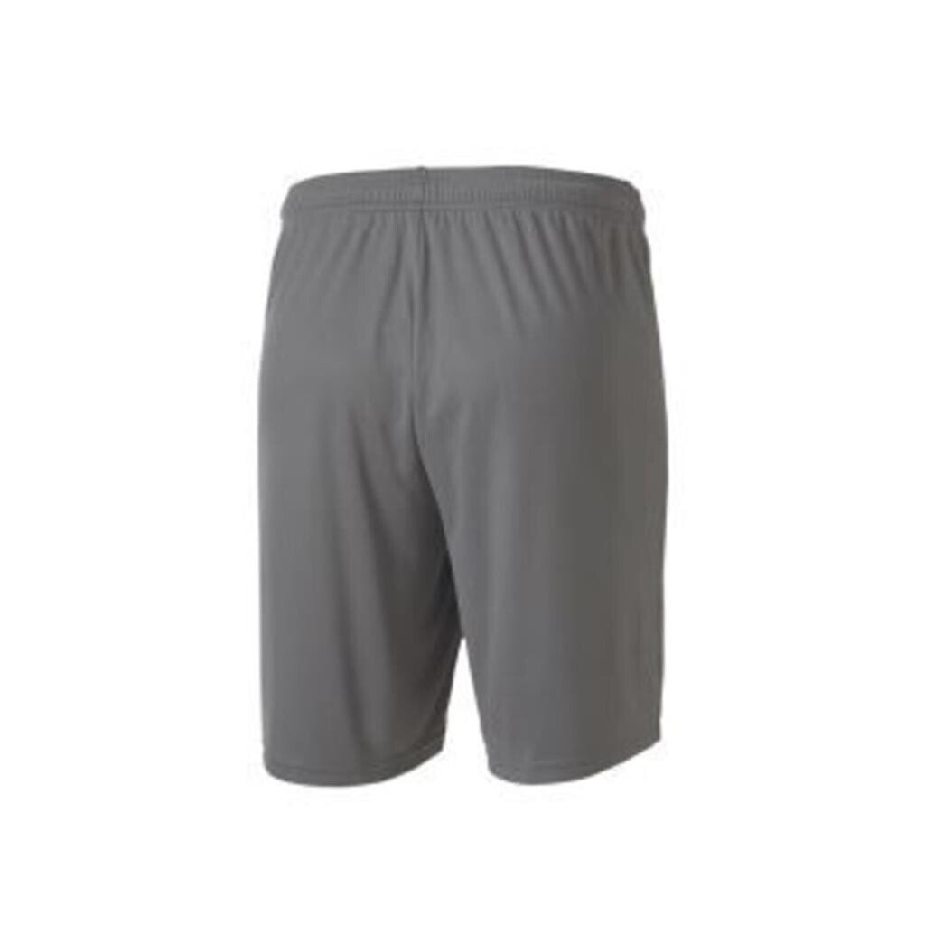 Puma 704262 Teamgoal 23 Knit Shorts Gri - 2