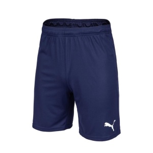 Puma 704262 Teamgoal 23 Knit Shorts Lacivert 