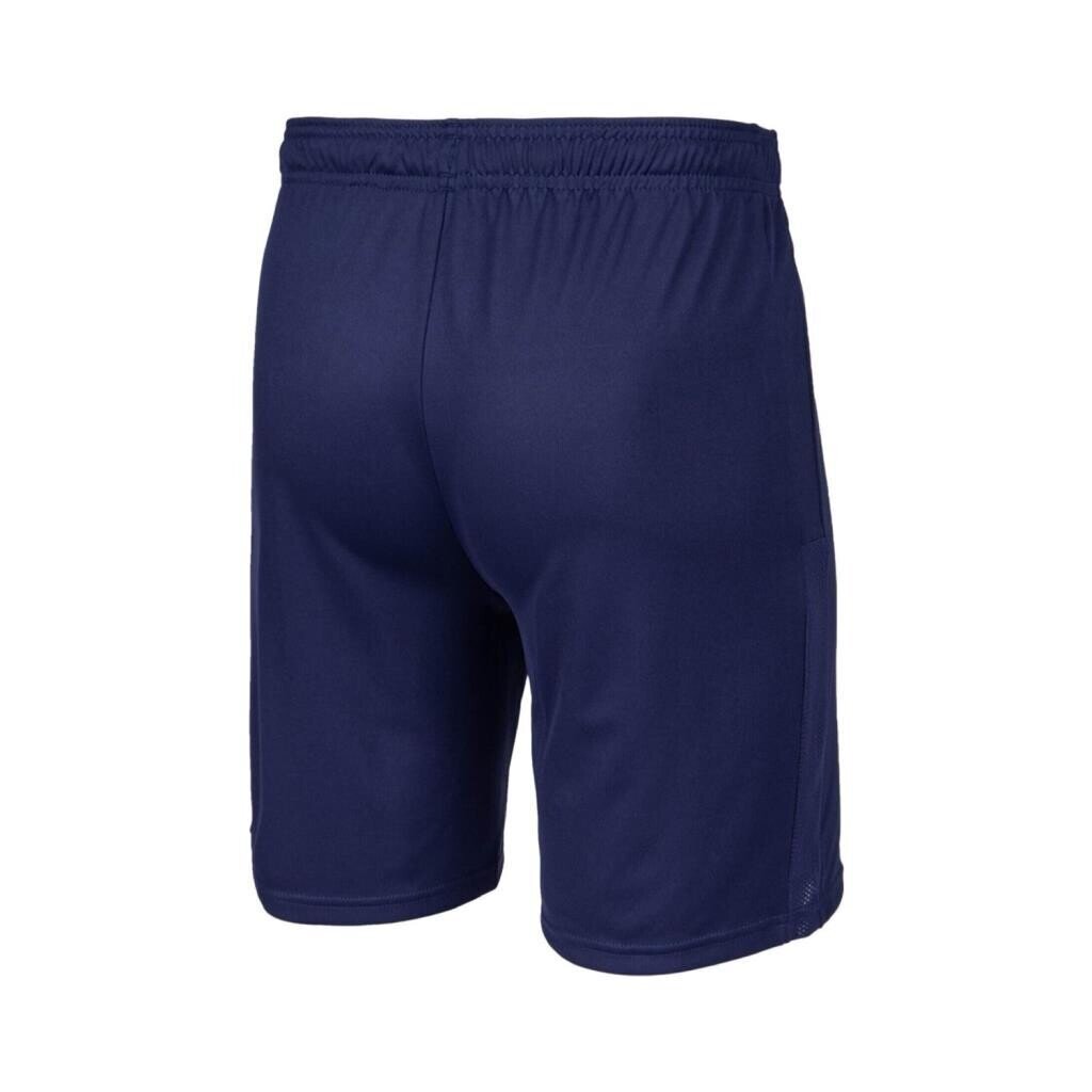 Puma 704262 Teamgoal 23 Knit Shorts Lacivert - 2