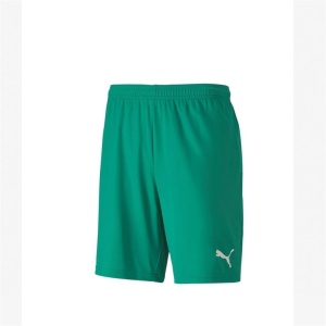 Puma 704262 Teamgoal 23 Knit Shorts Yeşil 