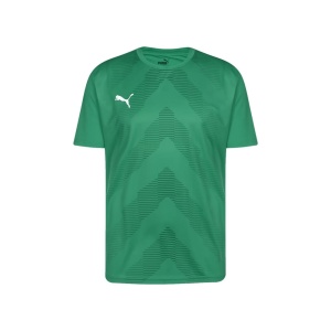 Puma 705017 Teamglory Jersey Yeşil 