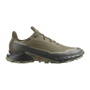 Salomon L473103 Alphacross 5 Gtx Yeşil 