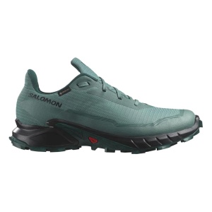 Salomon L47595000 Alphacross 5 Gtx Spor Ayakkabı Yeşil 